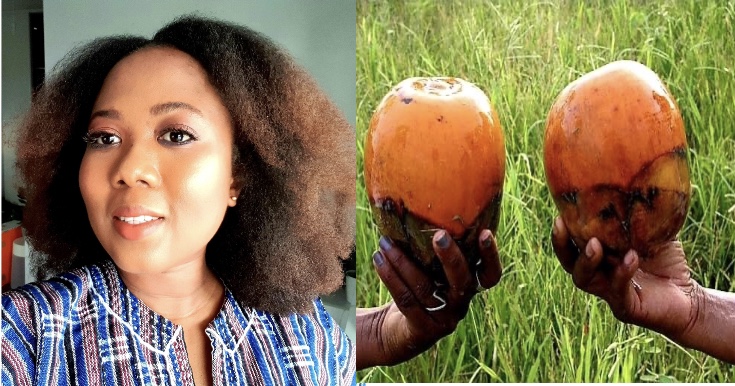 Carolle Selasi Henyo’s interesting cultural context of the Borassus or the Palmyra Palm Fruit aka  “Agɔ“.