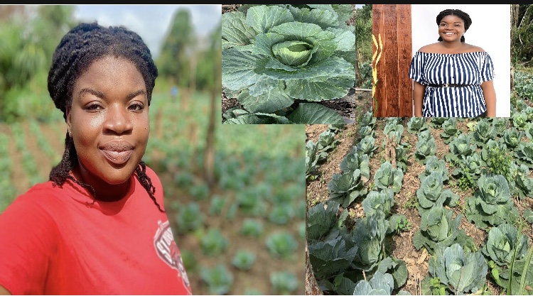 “Vegetable farming is one of the quickest ways of making some good money in Ghana “- young Ghanaian female farmer reveals.