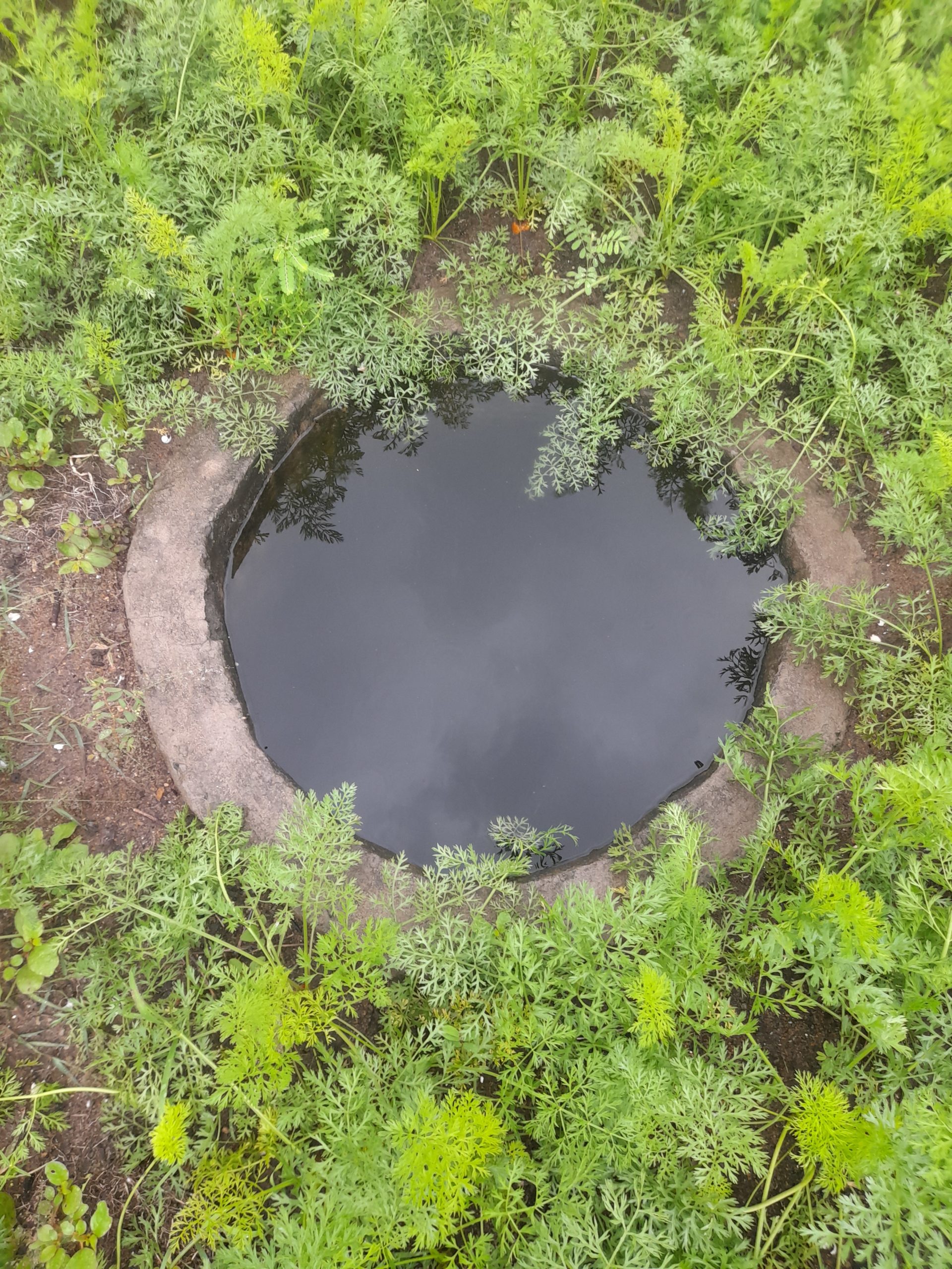 Heavy downpour destroys vegetable farms at Anloga- DETAILS